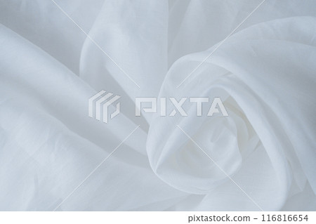 白色背景多雷普 116816654