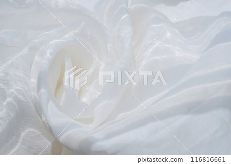 白色背景多雷普 116816661