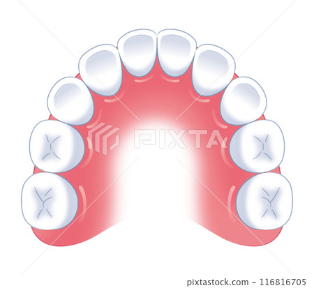 孩子的牙列 孩子的牙列 116816705