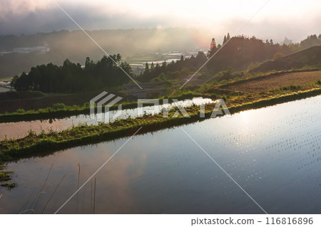 240608上野希拉茲081 240608上野希拉茲081 116816896