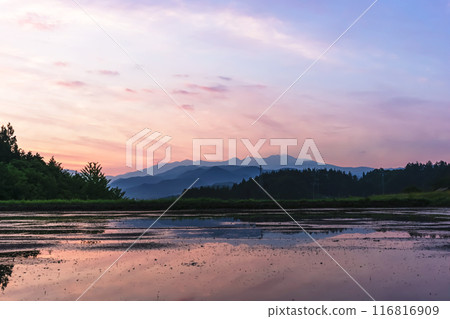 240608Uenodairaz027 116816909