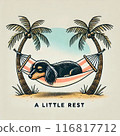 dog, dogs, miniature dachshund 116817712
