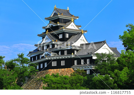 [岡山縣]晴朗的岡山城（令和大整修後） 116817755