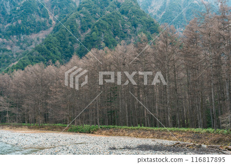 Scene of Kamikochi National Park, Hotaka mountain and Azusa river, Nagano Prefecture, Japan. Landmark for tourists attraction. Japan Travel, Destination and Vacation concept Scene of Kamikochi National Park, Hotaka mountain and Azusa river, Nagano Prefecture, Japan. Landmark for tourists attraction. Japan Travel, Destination and Vacation concept 116817895