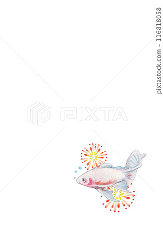 煙火和金魚畫水彩 煙火和金魚畫水彩 116818058