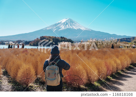 Woman tourist with Fuji Mountain at Lake Kawaguchi, happy Traveler sightseeing Mount Fuji in Fujikawaguchiko, Yamanashi, Japan. Landmark for tourists attraction. Japan Travel, Destination and Vacation 116818108