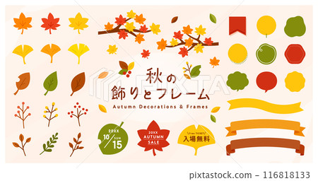 Illustration set of autumn decorations and frames: Decoration, autumn leaves, maple, ginkgo, ribbon, leaves, branches, nuts 116818133