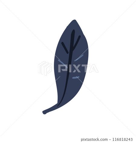 Folk plant. A simple dark blue leaf. Autumn botany. Minimalist style. Flat vector illustration. No AI. hand drawn 116818243