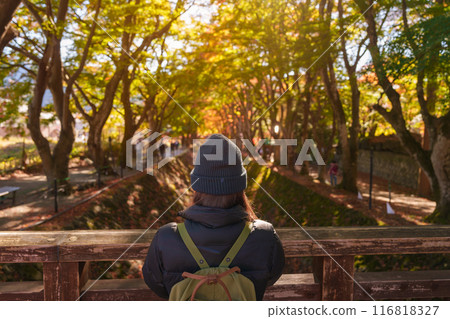 Woman tourist at Momiji Kairo in Autumn season, happy Traveler travel Maple Corridor at lake Kawaguchi, Yamanashi, Japan. Landmark for tourists attraction. Japan Travel, Destination and Vacation 116818327