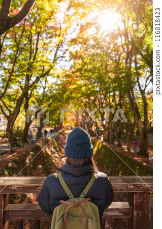Woman tourist at Momiji Kairo in Autumn season, happy Traveler travel Maple Corridor at lake Kawaguchi, Yamanashi, Japan. Landmark for tourists attraction. Japan Travel, Destination and Vacation Woman tourist at Momiji Kairo in Autumn season, happy Traveler travel Maple Corridor at lake Kawaguchi, Yamanashi, Japan. Landmark for tourists attraction. Japan Travel, Destination and Vacation 116818423