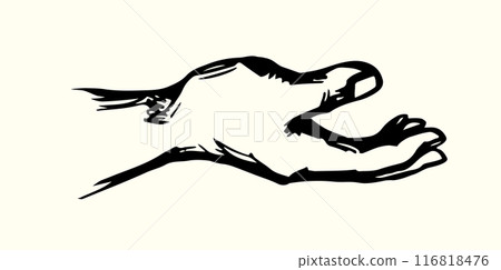 Young human hand. Vector drawing 116818476
