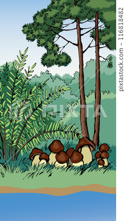 Vector drawing. Forest harvest of mushrooms Vector drawing. Forest harvest of mushrooms 116818482