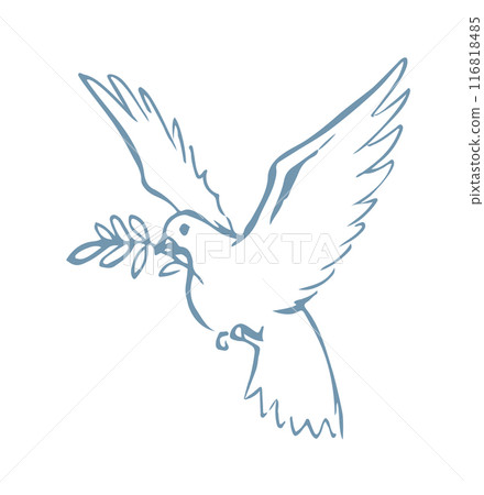 Vector drawing. Cute flying dove 116818485
