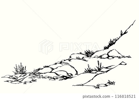 Vector drawing. Plantds grows on the stony hill 116818521