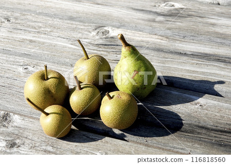 The taste of autumn that has been picked: Japanese and Western pears 116818560
