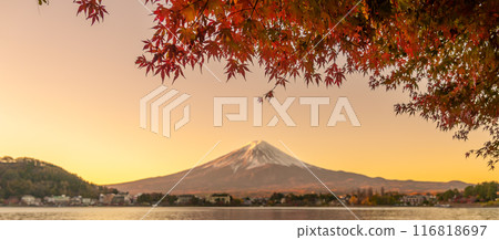 Mount Fuji view at Lake Kawaguchi in Autumn season. Mt Fujisan in Fujikawaguchiko, Yamanashi, Japan. Landmark for tourists attraction. Japan Travel, Destination, Vacation and Mount Fuji Day concept Mount Fuji view at Lake Kawaguchi in Autumn season. Mt Fujisan in Fujikawaguchiko, Yamanashi, Japan. Landmark for tourists attraction. Japan Travel, Destination, Vacation and Mount Fuji Day concept 116818697