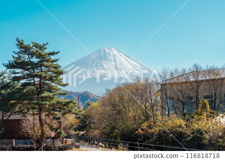 Mount Fuji view at Saiko Iyashino Sato Nenba in Autumn season. Mt Fujisan in Fujikawaguchiko, Yamanashi, Japan. Landmark for tourists attraction. Japan Travel, Destination, Vacation and Mount Fuji Day Mount Fuji view at Saiko Iyashino Sato Nenba in Autumn season. Mt Fujisan in Fujikawaguchiko, Yamanashi, Japan. Landmark for tourists attraction. Japan Travel, Destination, Vacation and Mount Fuji Day 116818718