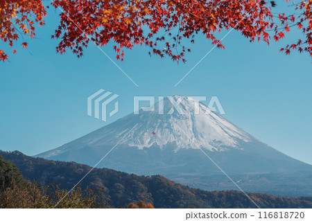 Mount Fuji view at Saiko Iyashino Sato Nenba in Autumn season. Mt Fujisan in Fujikawaguchiko, Yamanashi, Japan. Landmark for tourists attraction. Japan Travel, Destination, Vacation and Mount Fuji Day Mount Fuji view at Saiko Iyashino Sato Nenba in Autumn season. Mt Fujisan in Fujikawaguchiko, Yamanashi, Japan. Landmark for tourists attraction. Japan Travel, Destination, Vacation and Mount Fuji Day 116818720