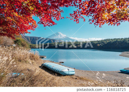 Mount Fuji view at Lake Saiko in Autumn season. Mt Fujisan in Fujikawaguchiko, Yamanashi, Japan. Landmark for tourists attraction. Japan Travel, Destination, Vacation and Mount Fuji Day concept 116818725