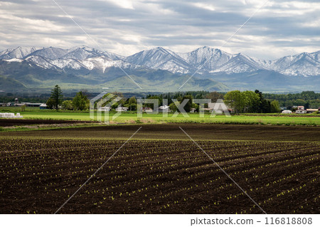 早春的十勝風景 116818808