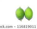 The lemon, Citrus limon Osbeck, is a species of small evergreen tree in the flowering plant family Rutaceae, native to South Asia, primarily North eastern India. Its fruits are oval in shape. 116819011