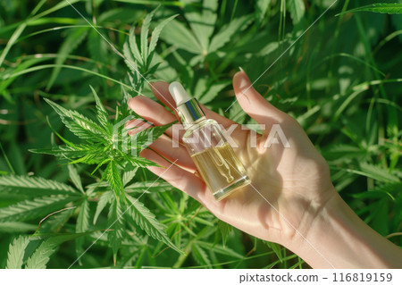 Hand Holding CBD Oil Dropper Bottle on green grass and Cannabis Leaves background 116819159