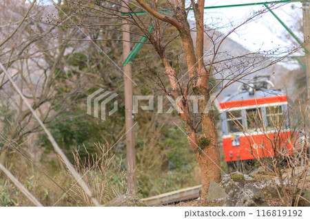 箱根登山鐵道緩緩爬上陡坡 116819192