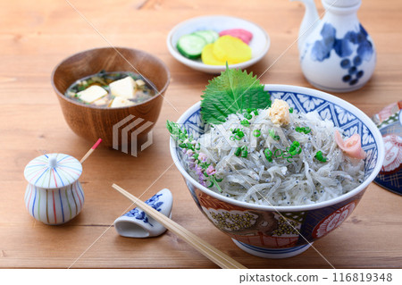 新鮮的生 shirasudon 116819348