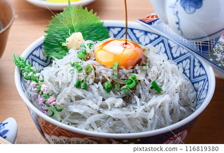 新鮮的生 shirasudon 116819380