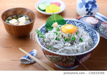 Fresh raw shirasudon Fresh raw shirasudon 116819388