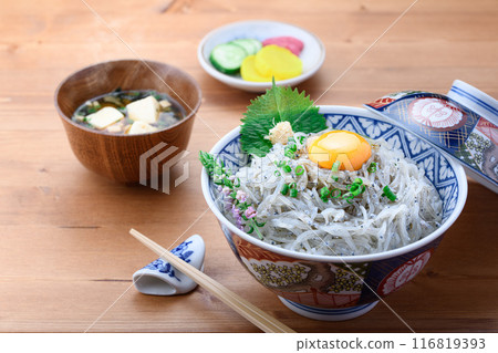 Fresh raw shirasudon 116819393