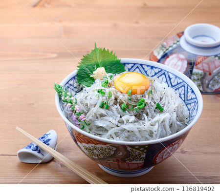 新鮮的生 shirasudon 116819402