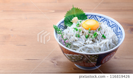 新鮮的生 shirasudon 116819426