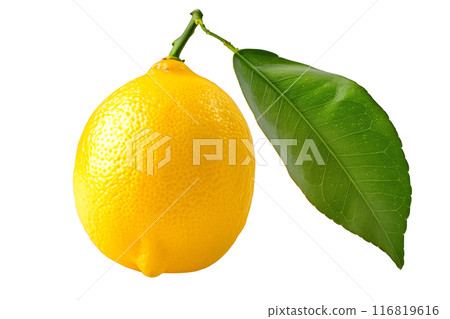 A ripe, bright yellow lemon with a fresh green leaf, suitable for food, drink, and health related topics isolated on white transparent background A ripe, bright yellow lemon with a fresh green leaf, suitable for food, drink, and health related topics isolated on white transparent background 116819616