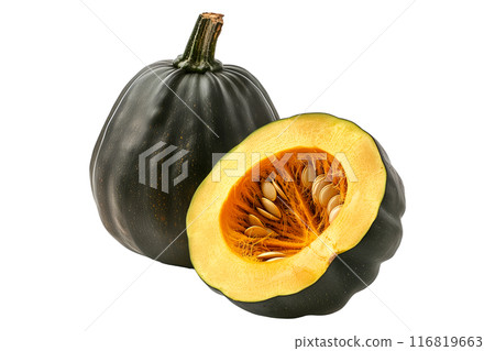 Acorn squash isolated on a white background, great for autumn themes and decorations. 116819663