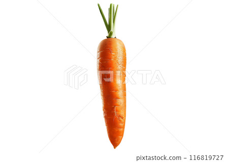 Fresh orange carrot with green leaves isolated on a white background. 116819727