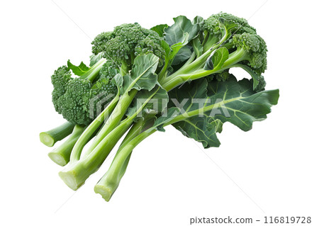 Calabrese broccoli floret with green leaves, isolated on a white background. 116819728