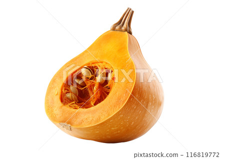 Honeynut squash isolated on a white background, great for autumn themes and decorations. 116819772
