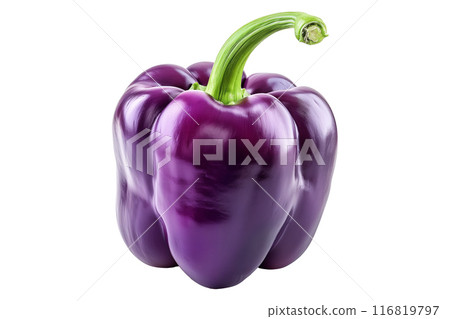 Purple bell pepper with green stem isolated on a white background. 116819797