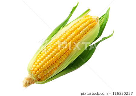 Fresh yellow corn with green leaves isolated on a white background. Fresh yellow corn with green leaves isolated on a white background. 116820237