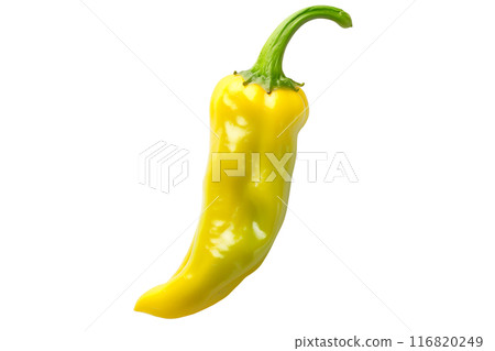 Yellow chili pepper Anaheim isolated on a white background. 116820249