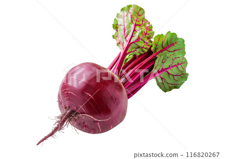 Fresh red beetroot with its green leaves isolated against a white background. 116820267