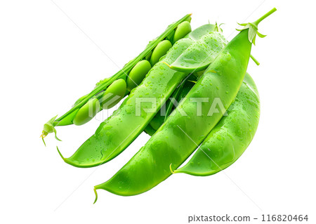 Fresh green peas with leaves in open pods isolated on a white background. 116820464