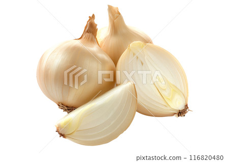 Fresh cipollini onions isolated on white background. 116820480