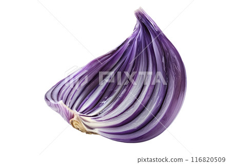 Ripe purple stripe garlic bulb isolated on a white background. Ripe purple stripe garlic bulb isolated on a white background. 116820509