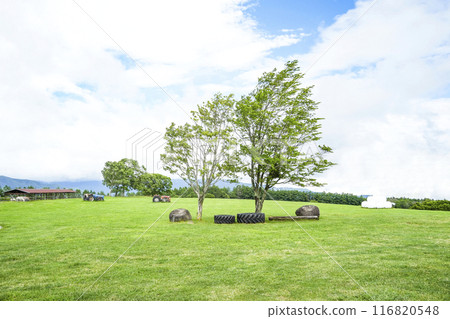 夏季長門農場(信州白樺高原) 夏季長門農場(信州白樺高原) 116820548