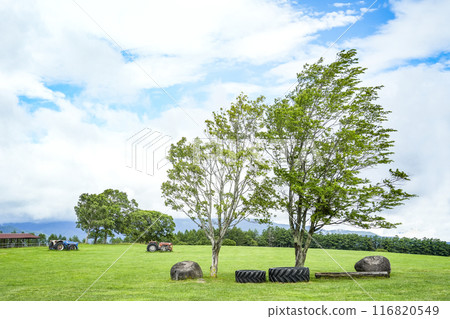 夏季長門農場(信州白樺高原) 夏季長門農場(信州白樺高原) 116820549