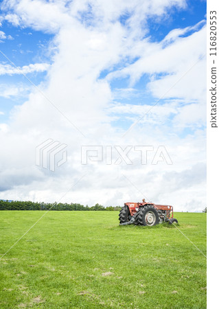 Nagato Ranch in summer (Shirakaba Highlands, Shinshu) Nagato Ranch in summer (Shirakaba Highlands, Shinshu) 116820553