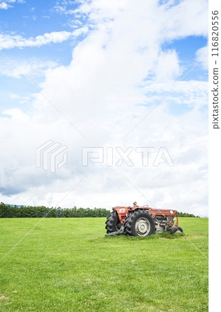 夏季長門農場(信州白樺高原) 夏季長門農場(信州白樺高原) 116820556
