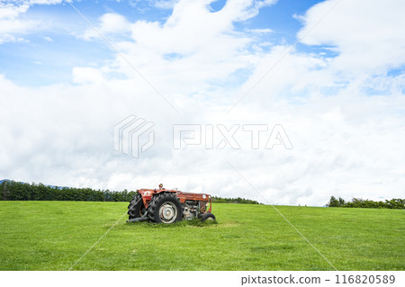 Nagato Ranch in summer (Shirakaba Highlands, Shinshu) Nagato Ranch in summer (Shirakaba Highlands, Shinshu) 116820589